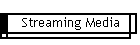 Streaming Media