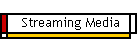Streaming Media